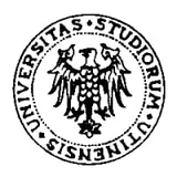 Università degli Studi di Udine logo